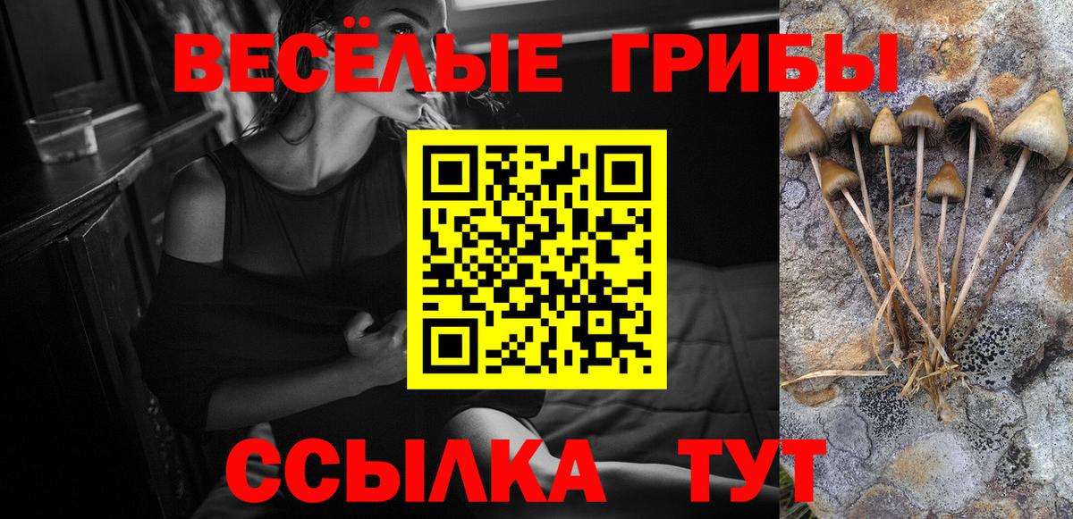 Фролово  Галлюциногенные грибы ЛСД  Вход с VPN 