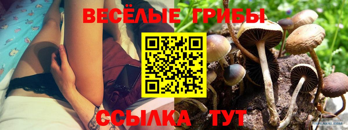 Псилоцибиновые грибы ЛСД Фролово